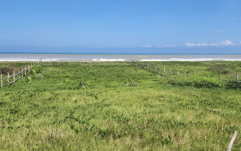 Beachfront view Canoa, Ecuador Private by Lourdes Mendoza