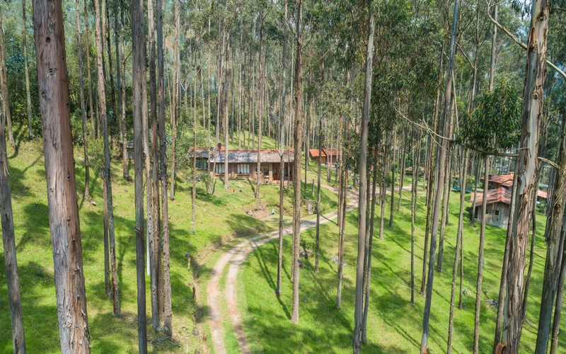 Aerial View - 1.2 Hectare Cuenca Retreat Land Aerial View Cuenca, Ecuador DJI Phantom 4 by Jonathan Mueller