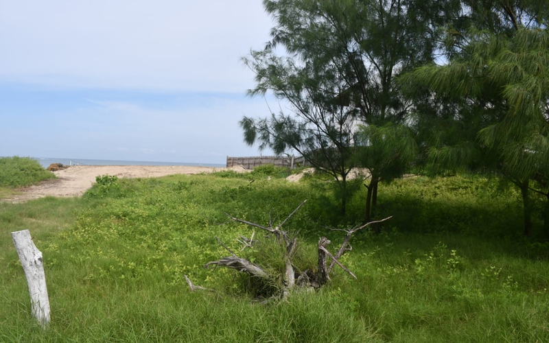 Beachfront view - Residential Beach Lot Los Ranchos Estates Beachfront view Crucita, Ecuador Nikon D7500 by Aladino Mendoza